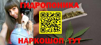 МДПВ Лесосибирск