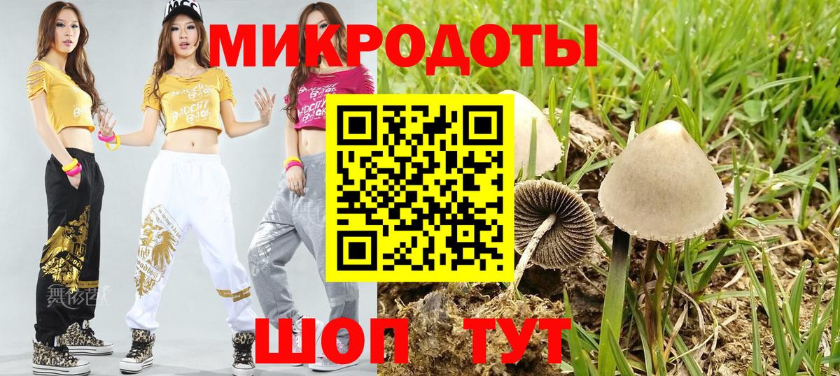 Псилоцибиновые грибы мицелий Дагестанские Огни